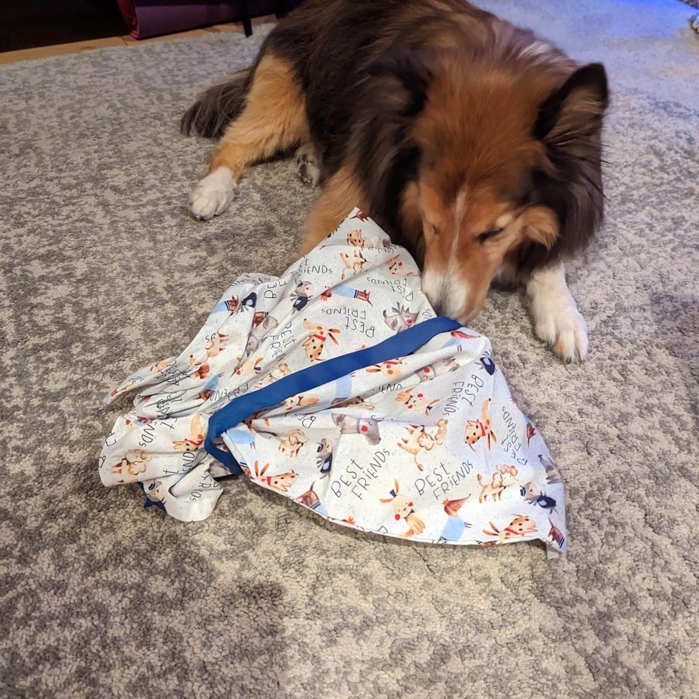 Reusable gift bag - Picture 4 of 6